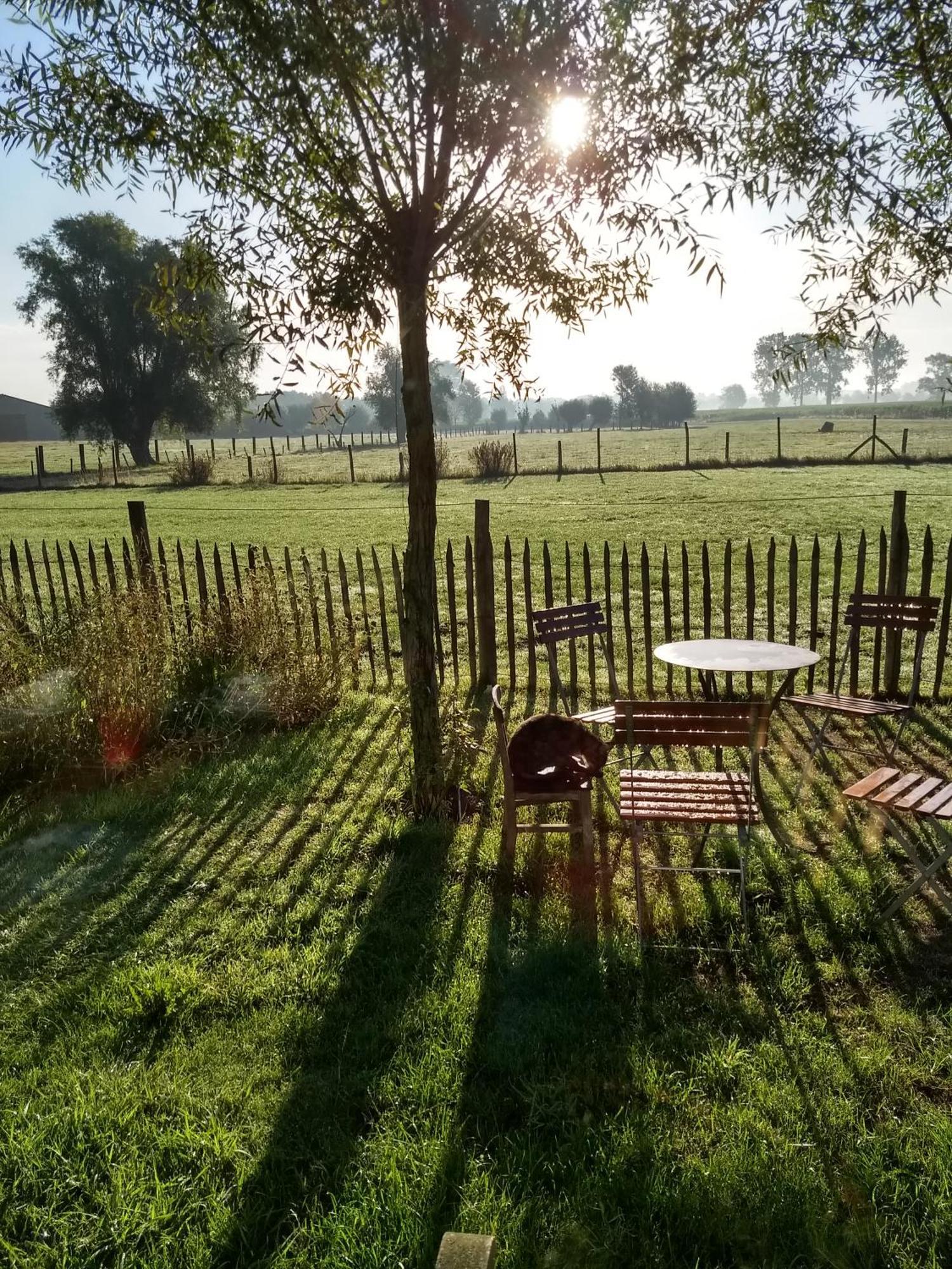 B&B De Vossenbarm Jabbeke  Exteriér fotografie