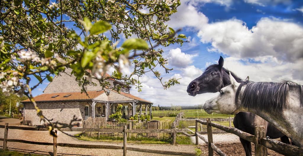B&B De Vossenbarm Jabbeke  Exteriér fotografie